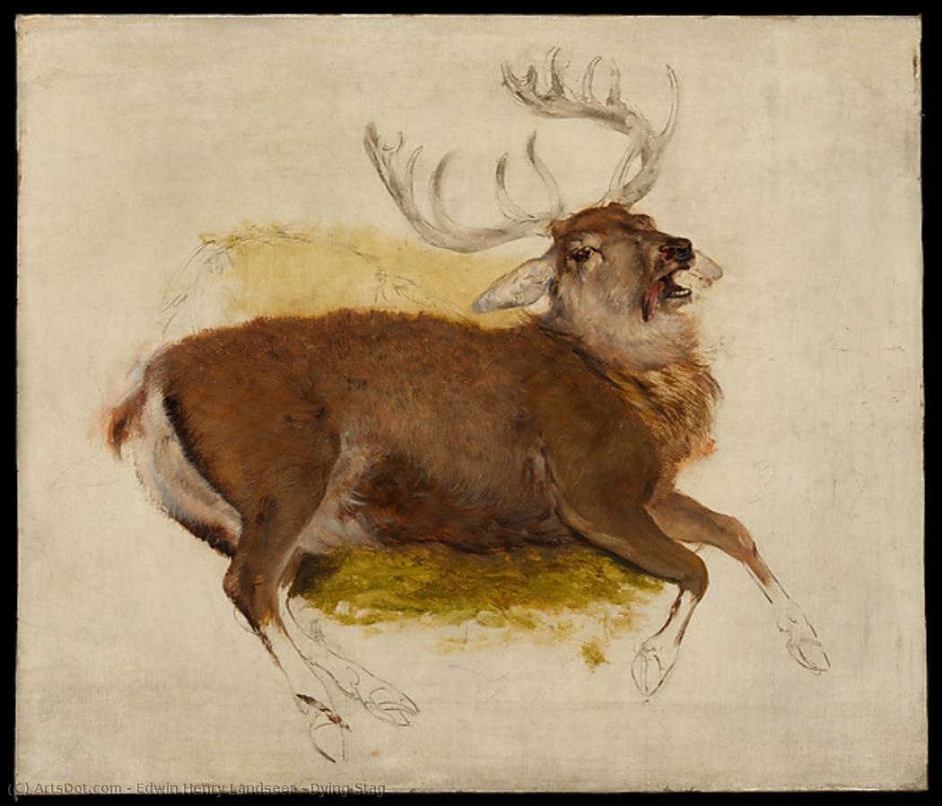 Dying Stag — Edwin Henry Landseer