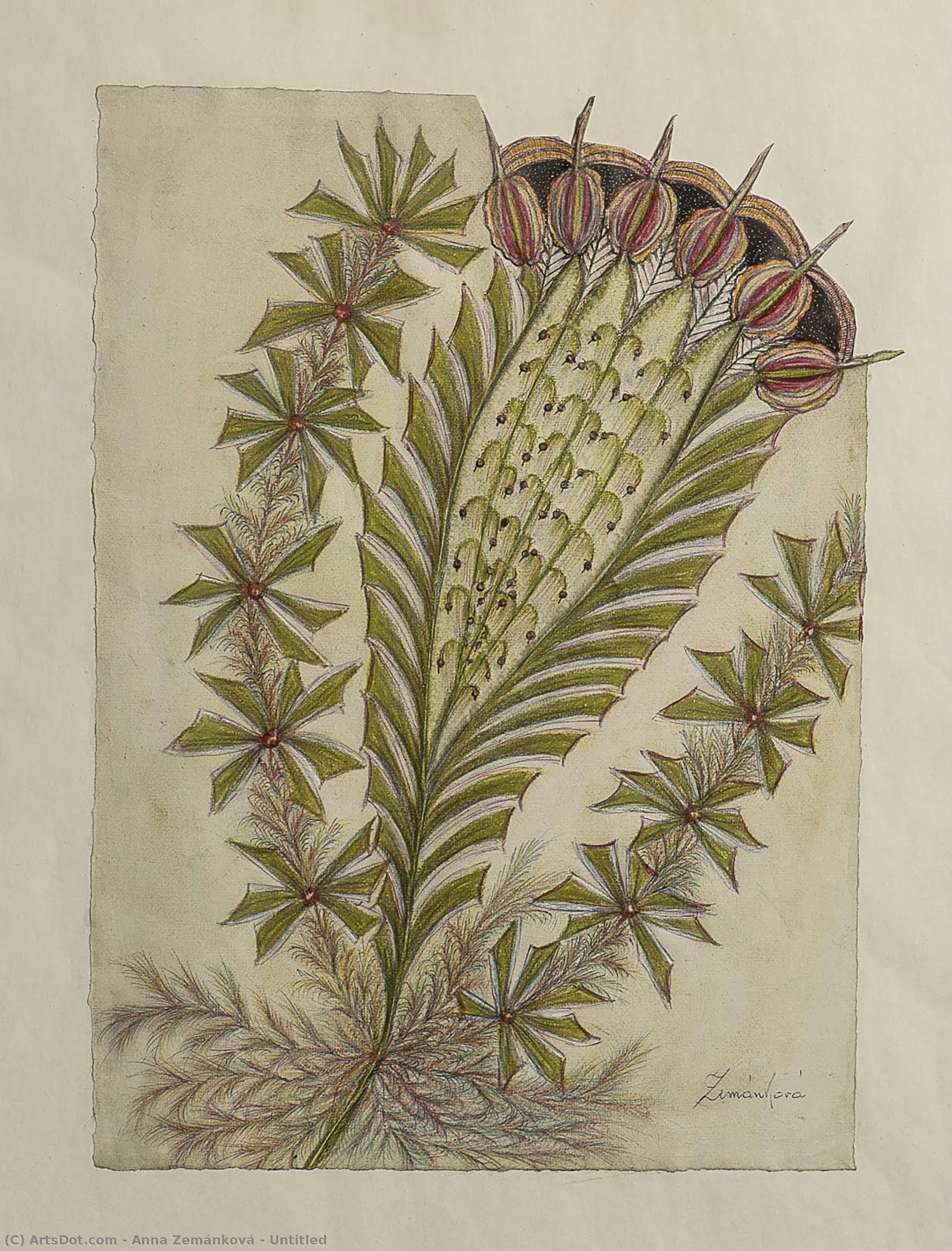 Untitled — Anna Zemánková
