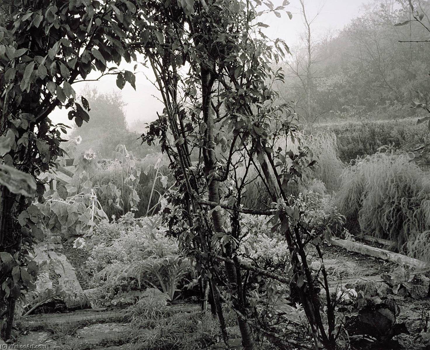 Oneonta, New York Freckleton Beal Garden — Gregory Conniff
