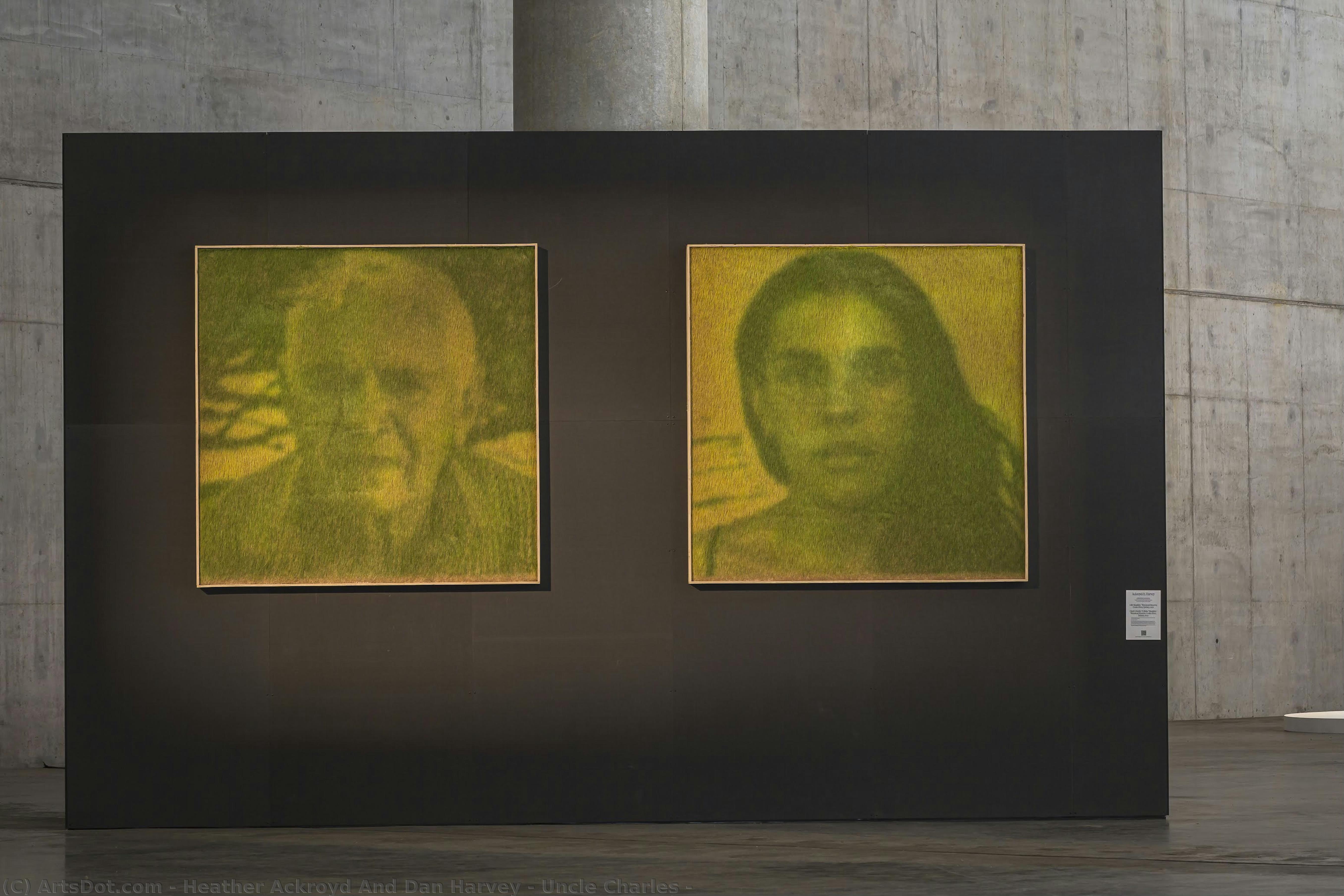 Uncle Charles — Heather Ackroyd Y Dan Harvey