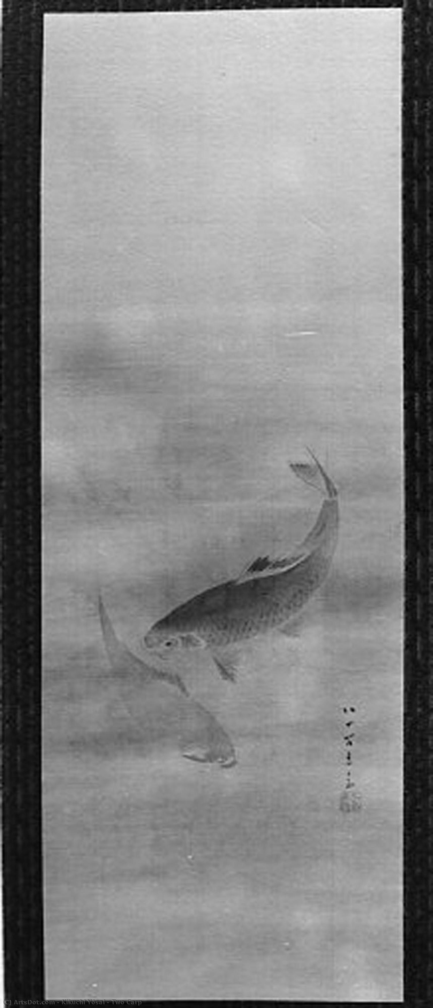 Two Carp — Kikuchi Takeyasu