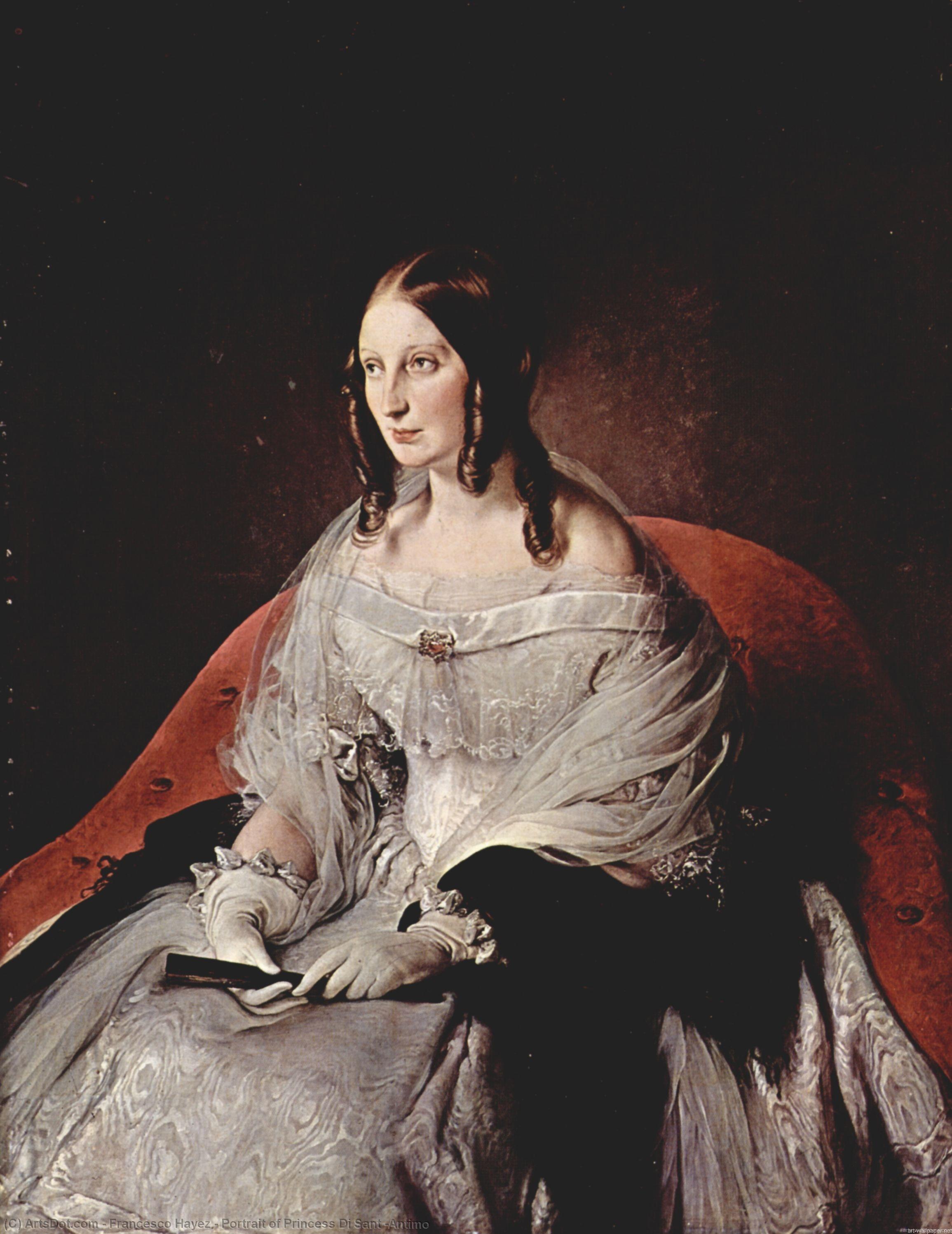 Portrait Of Princess Di Sant 'antimo — Франческо Хајез