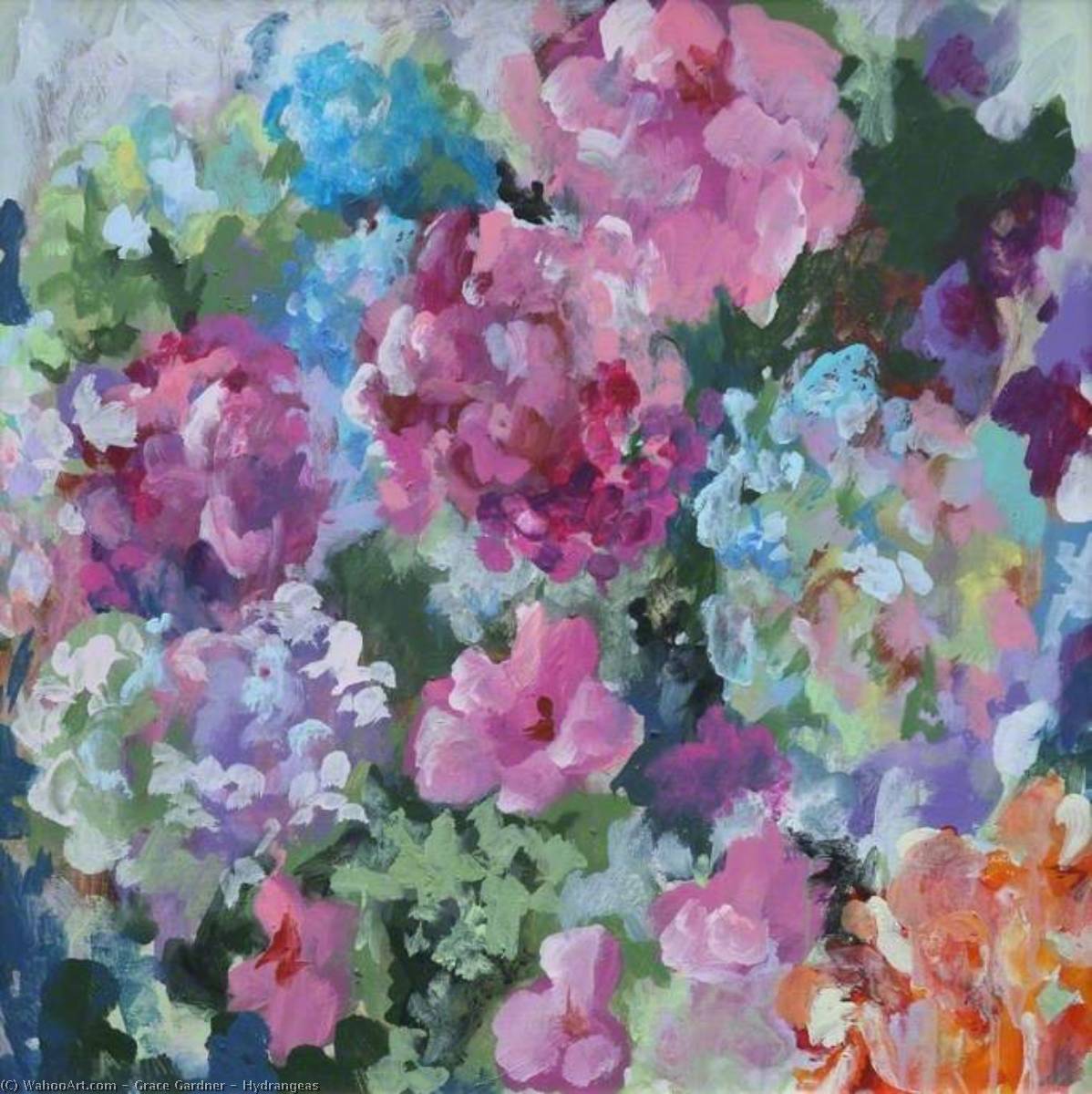 Hydrangeas — Grace Gardner