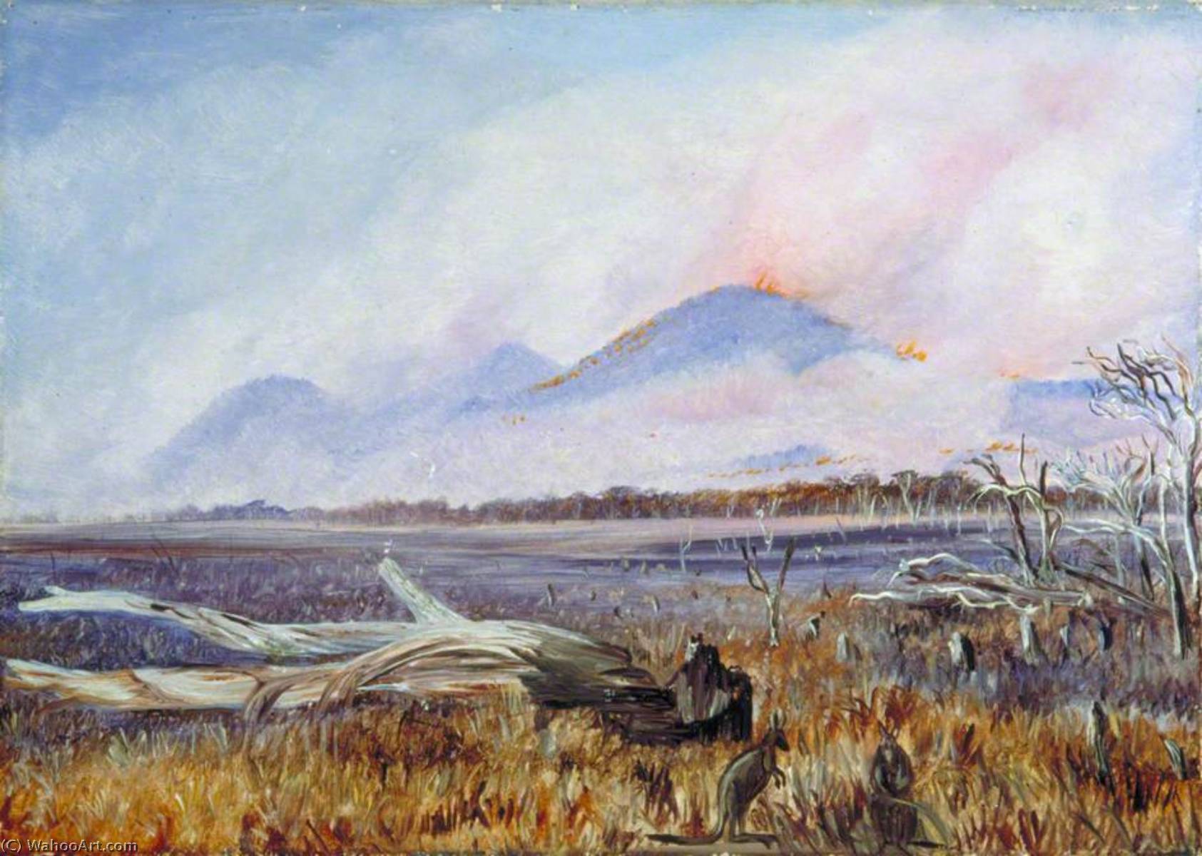 Ein Buschfeuer Bei Sonnenuntergang, Queensland — Marianne North