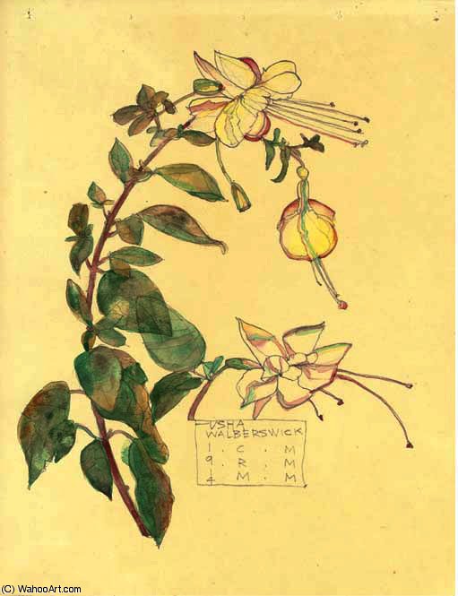 Study Of A Fuchsia — Charles Rennie Mackintosh