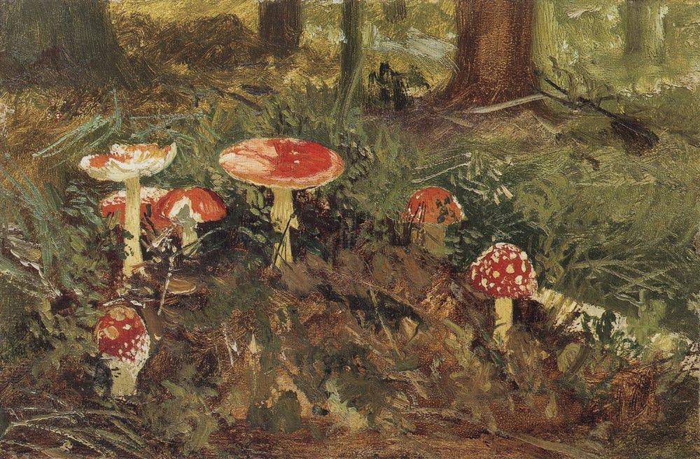 Amanita — Иван Шишкин