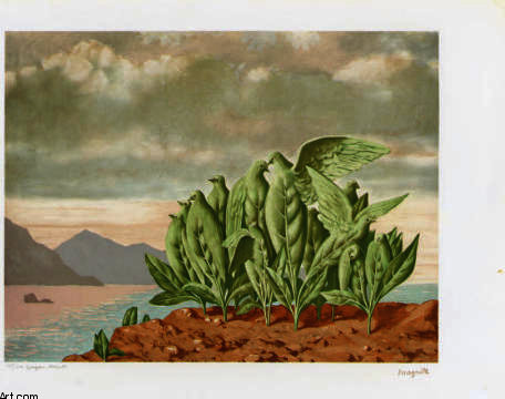 Nid D'oiseau — René Magritte
