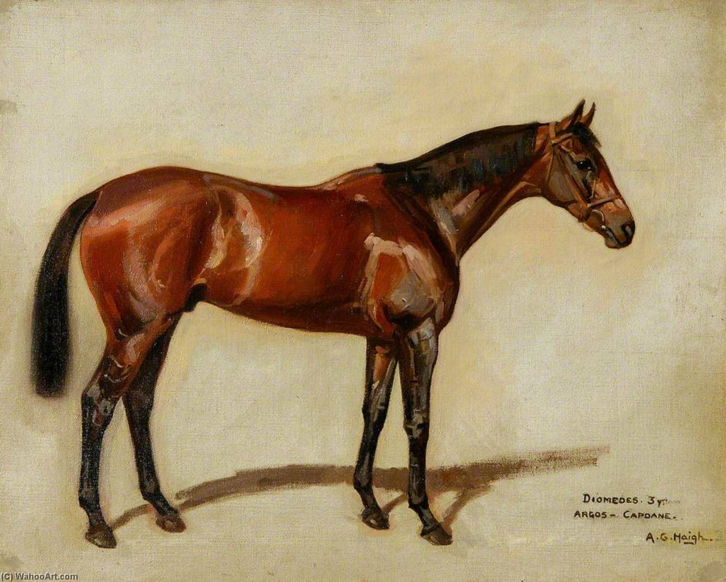 'diomedes' — Alfred Grenfell Haigh