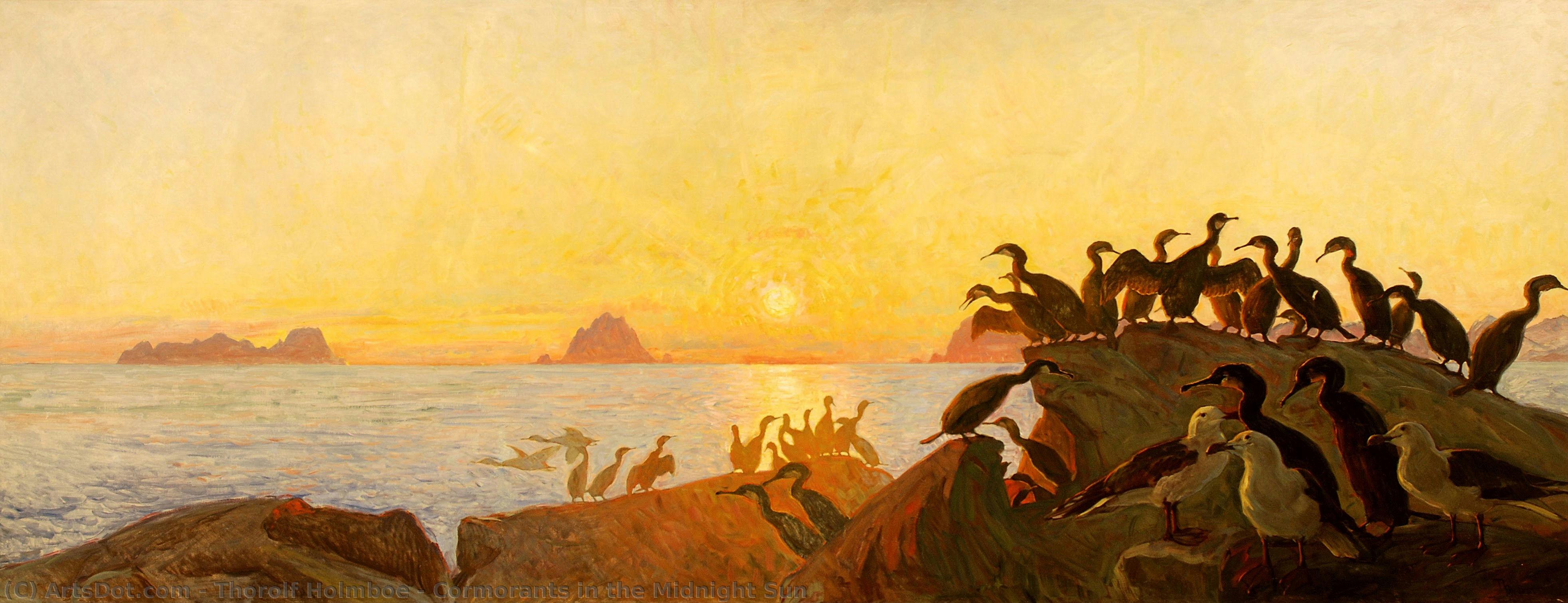 Cormorants In The Midnight Sun — Thorolf Holmboe