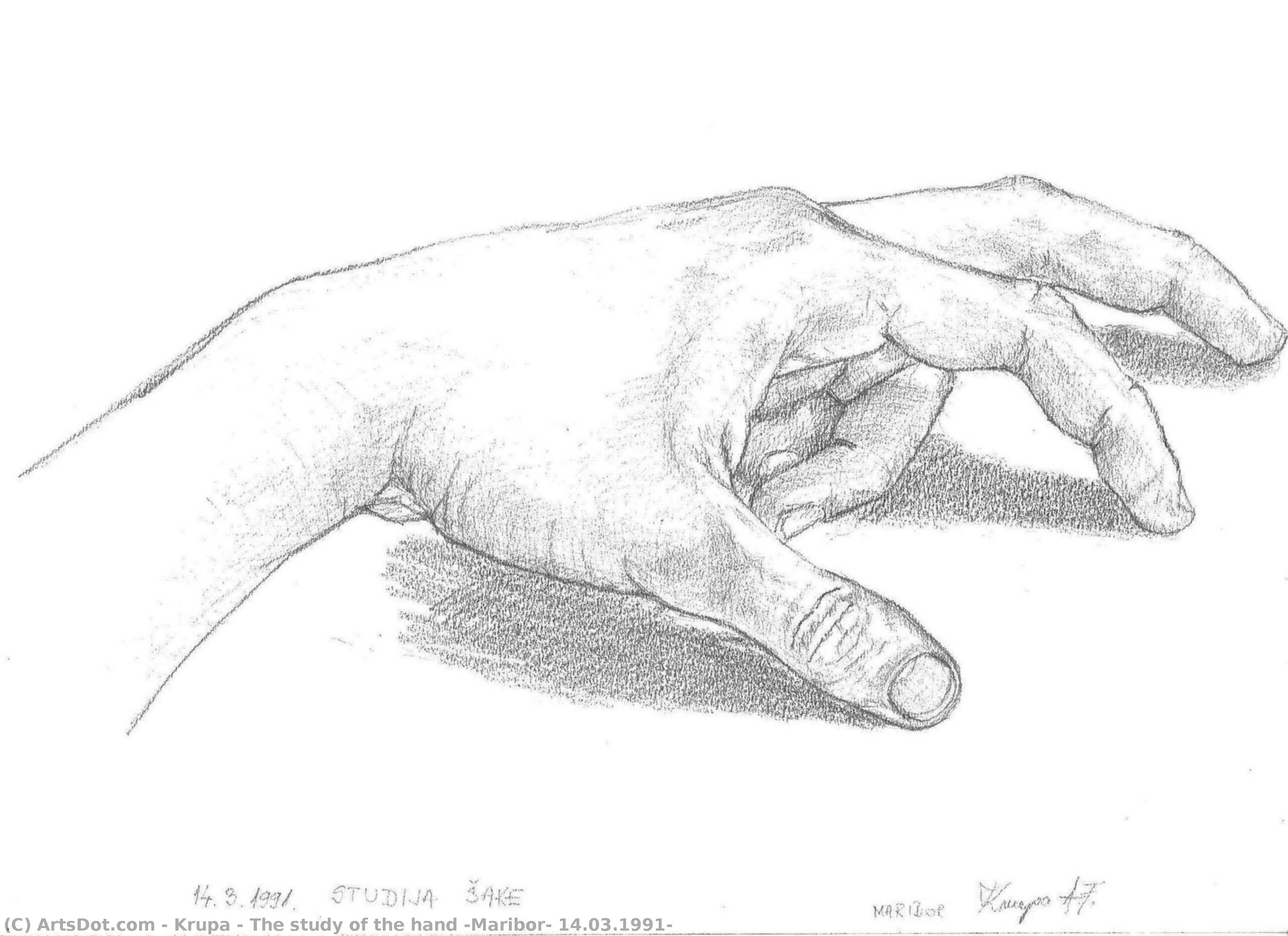 The Study Of The Hand (maribor, 14.03.1991) — Alfred Freddy Krupa
