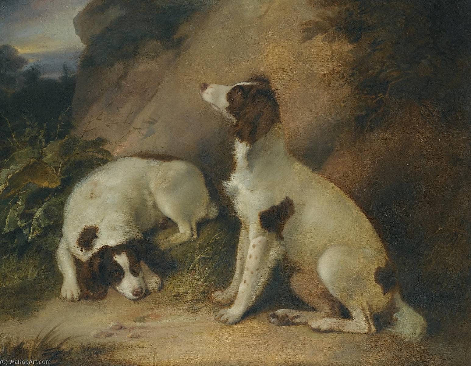Two Springer Spaniels In A Rocky Landscape — Richard Livesay