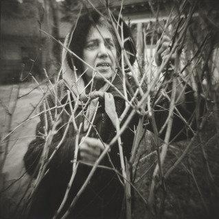 Rutgers Street, Woman Pruning The Shrubs — Bruce Horowitz