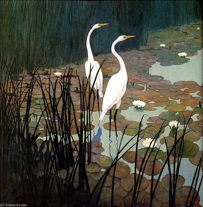 Egrets Pt I — Н.к. Вајт