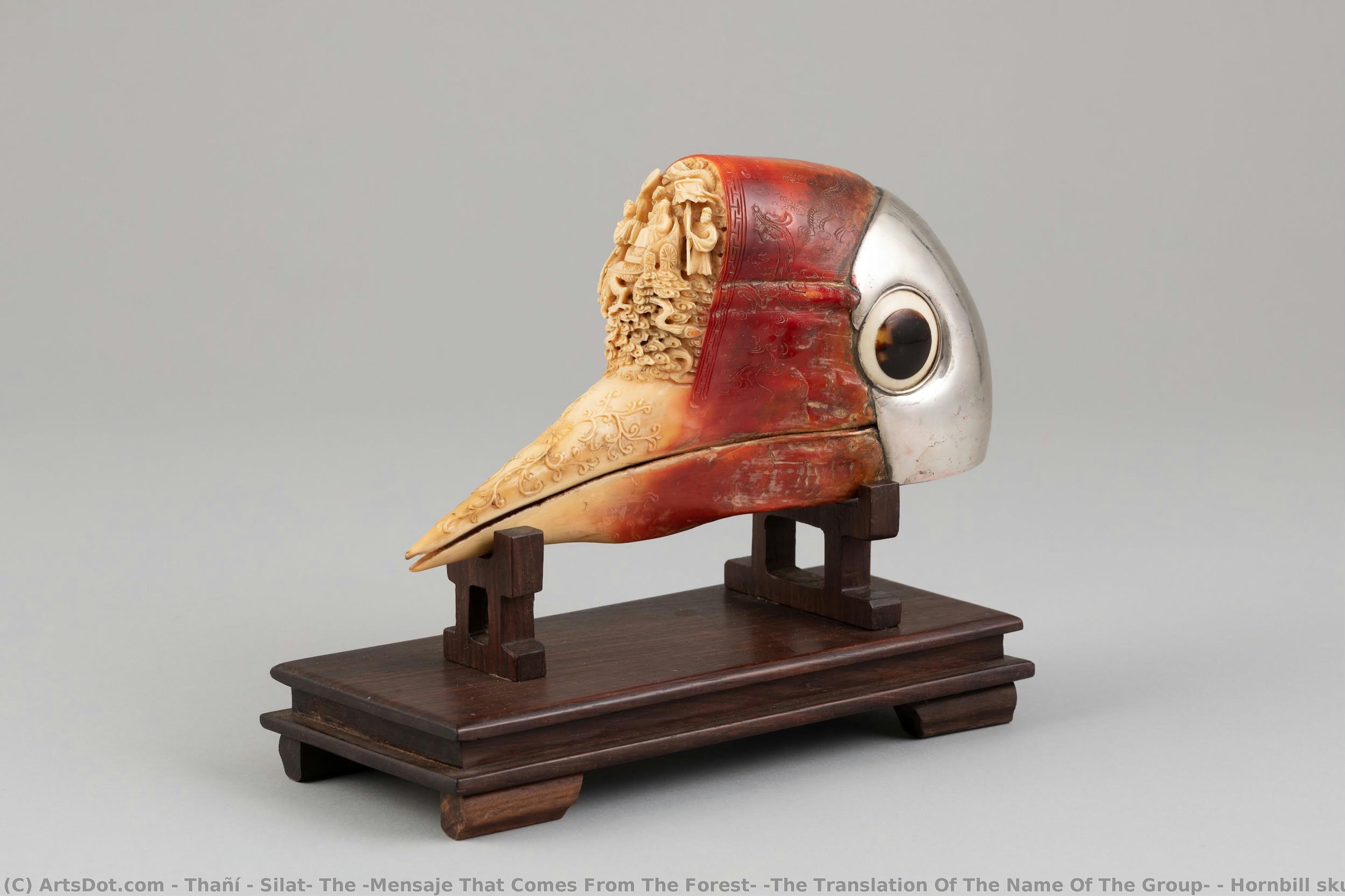Hornbill Skull — Thañí + Silat, The ‘mensaje That Comes From The Forest’ (the Translation Of The Name Of The Group)