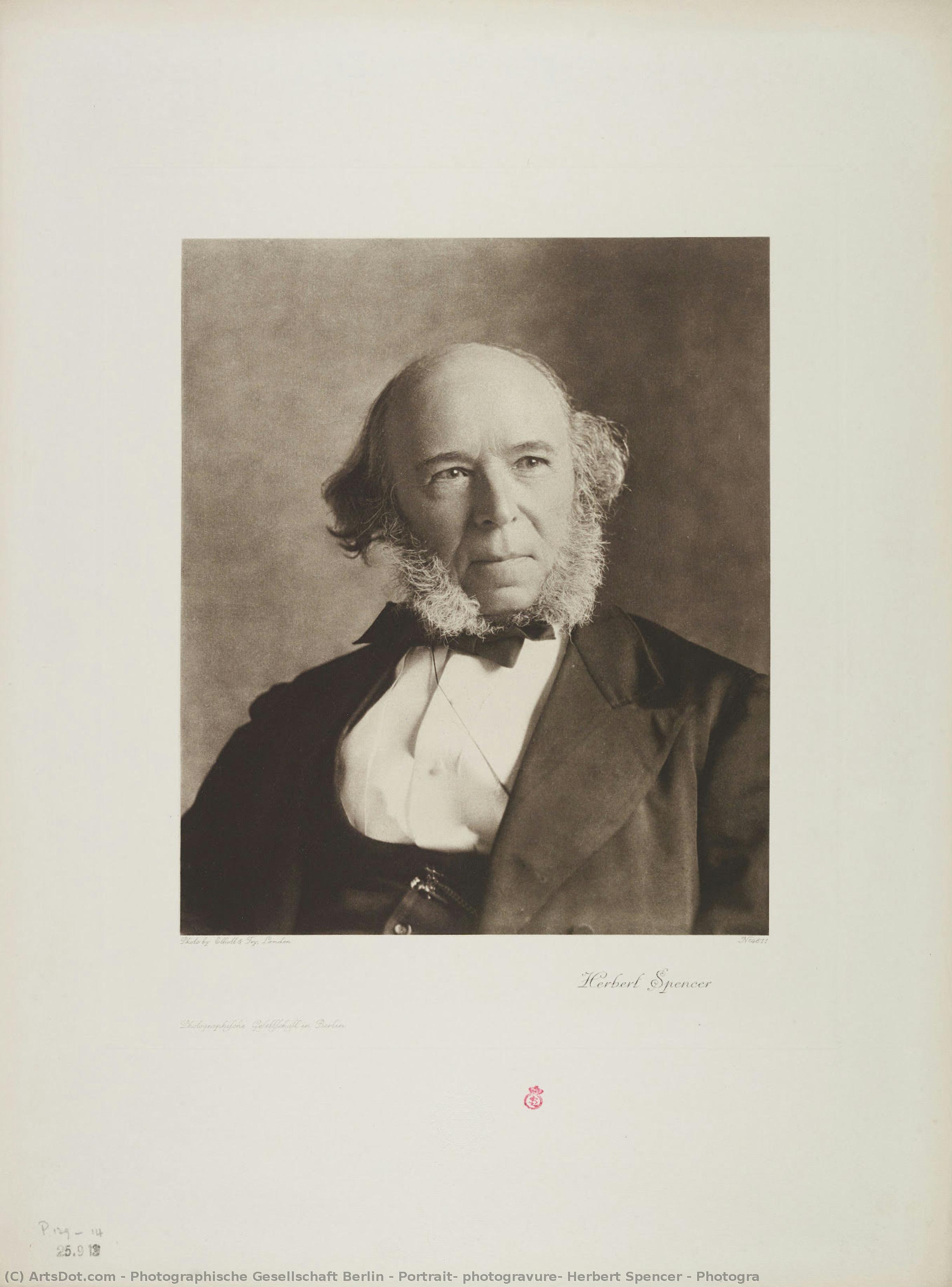 Portrait, Photogravure, Herbert Spencer / Photogra — Photographische Gesellschaft Berlin