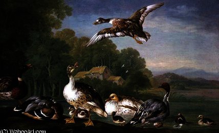 Wild Fowl, 18th Century — Pieter Casteels