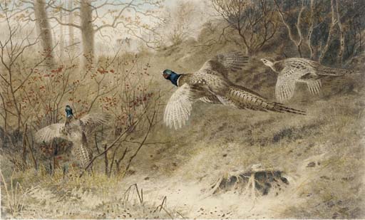 The Glory Of Autumn; And The Twelfth — Archibald Thorburn