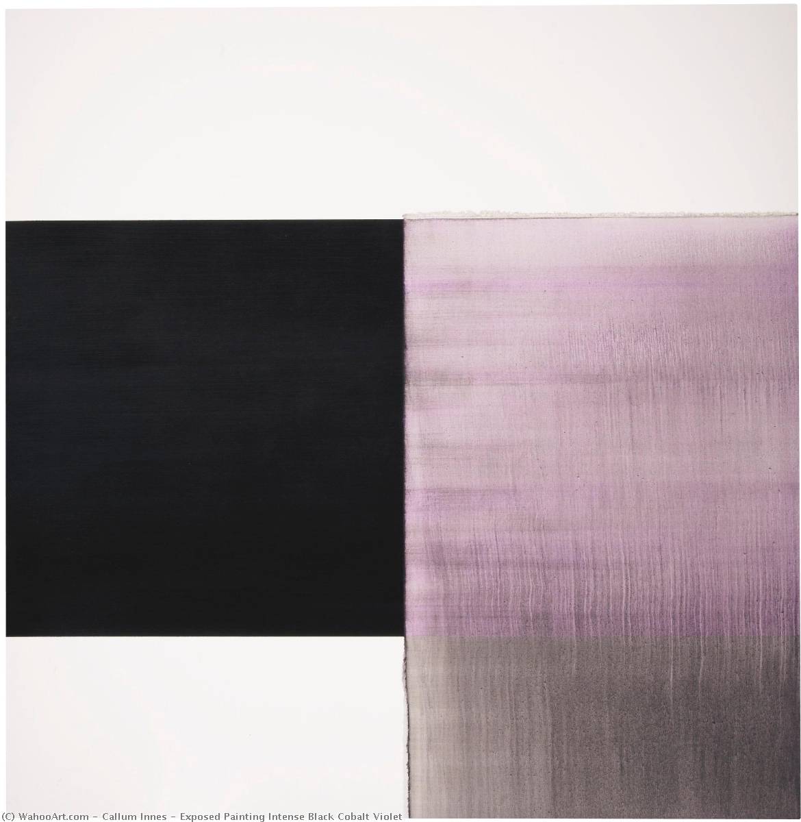 Exposed Painting Intense Black Cobalt Violet — Callum Innes