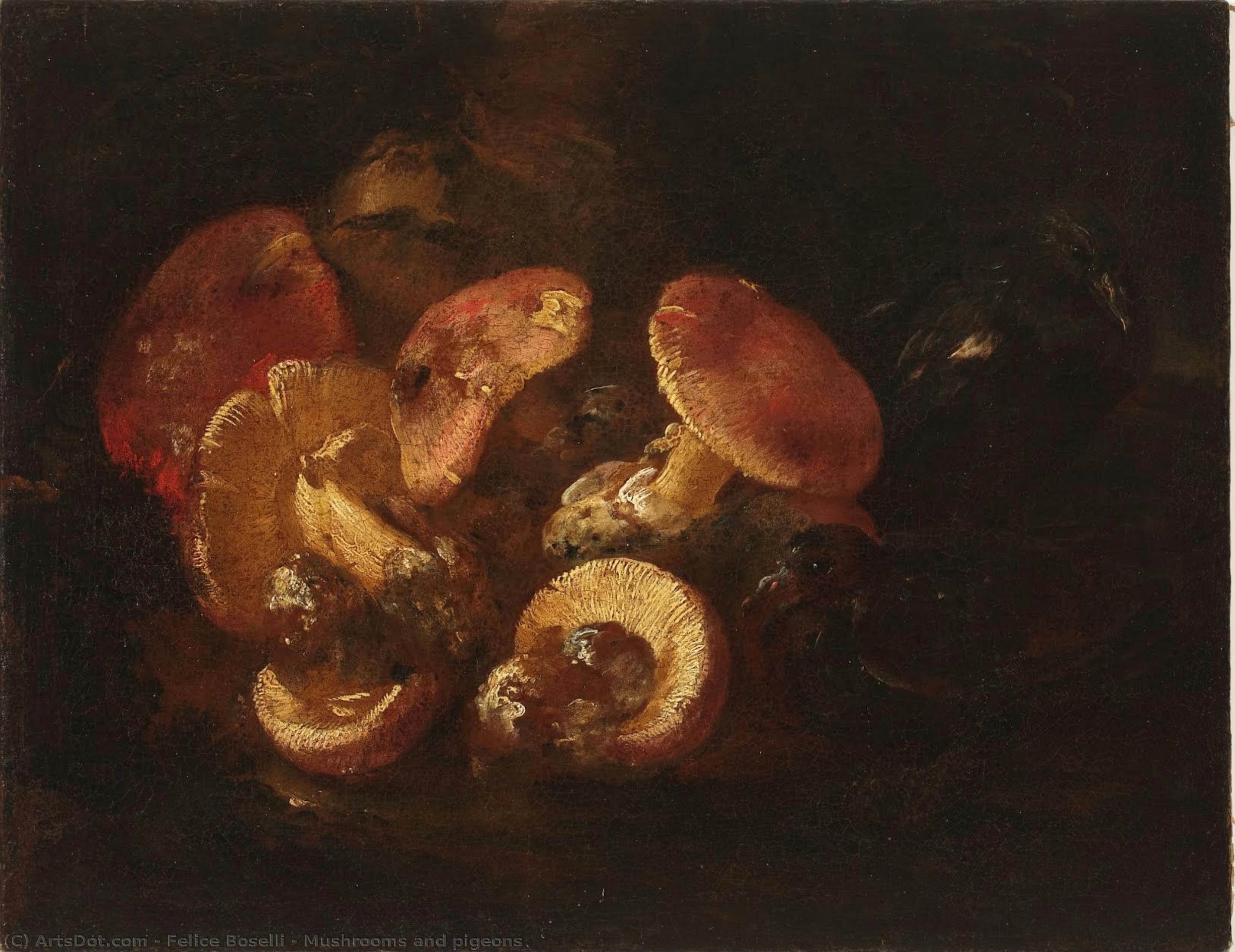 Mushrooms And Pigeons — Felice Boselli