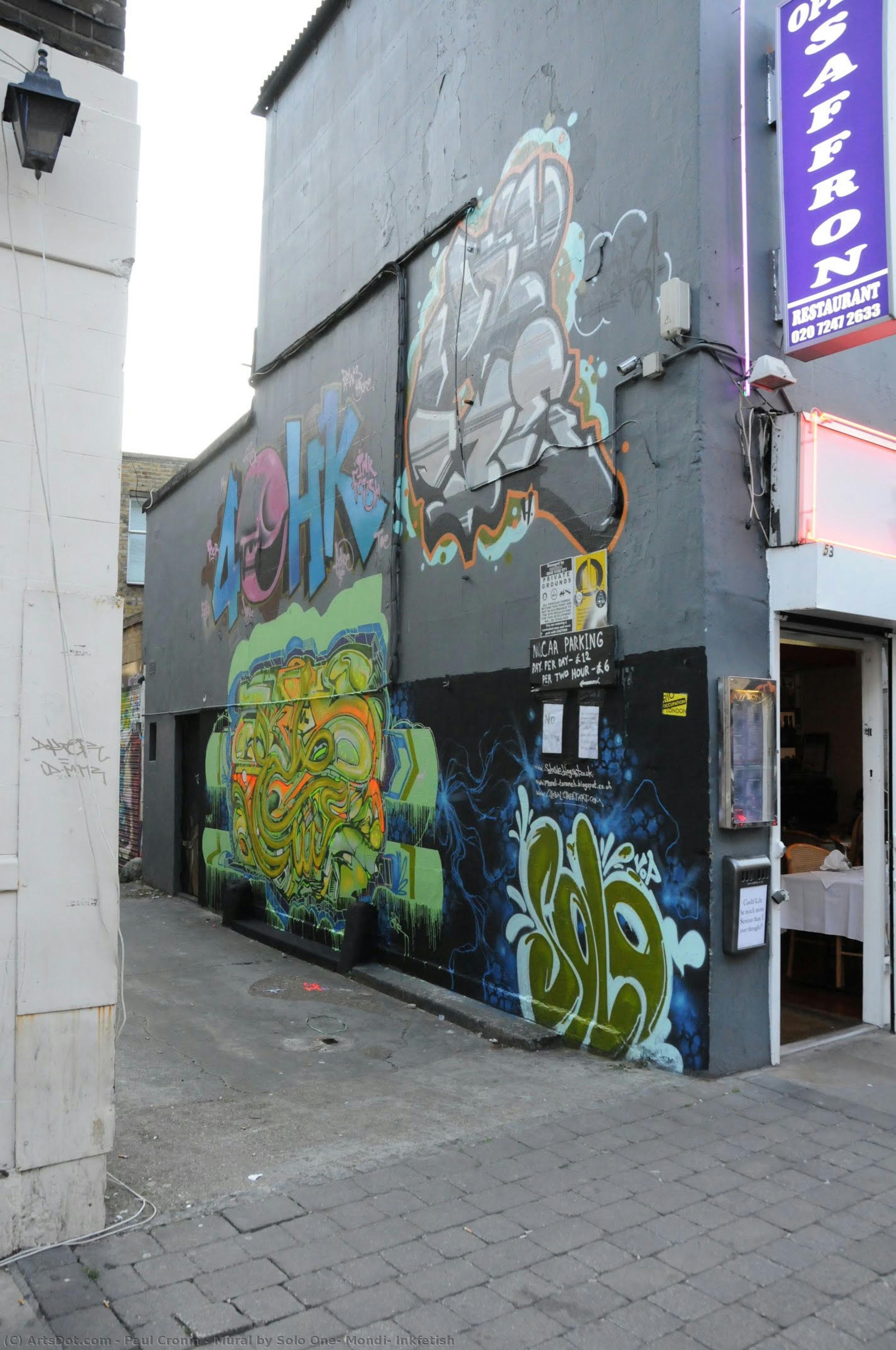 Mural By Solo One, Mondi, Inkfetish — Paul Cronin