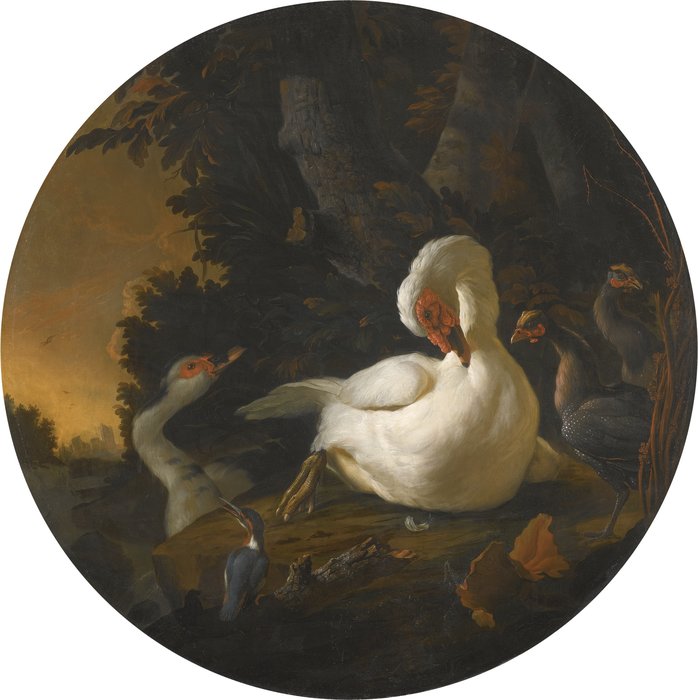 A Mute Swan, A Goose, And Other Fowl On A Wooded River Bank — Abraham Bisschop