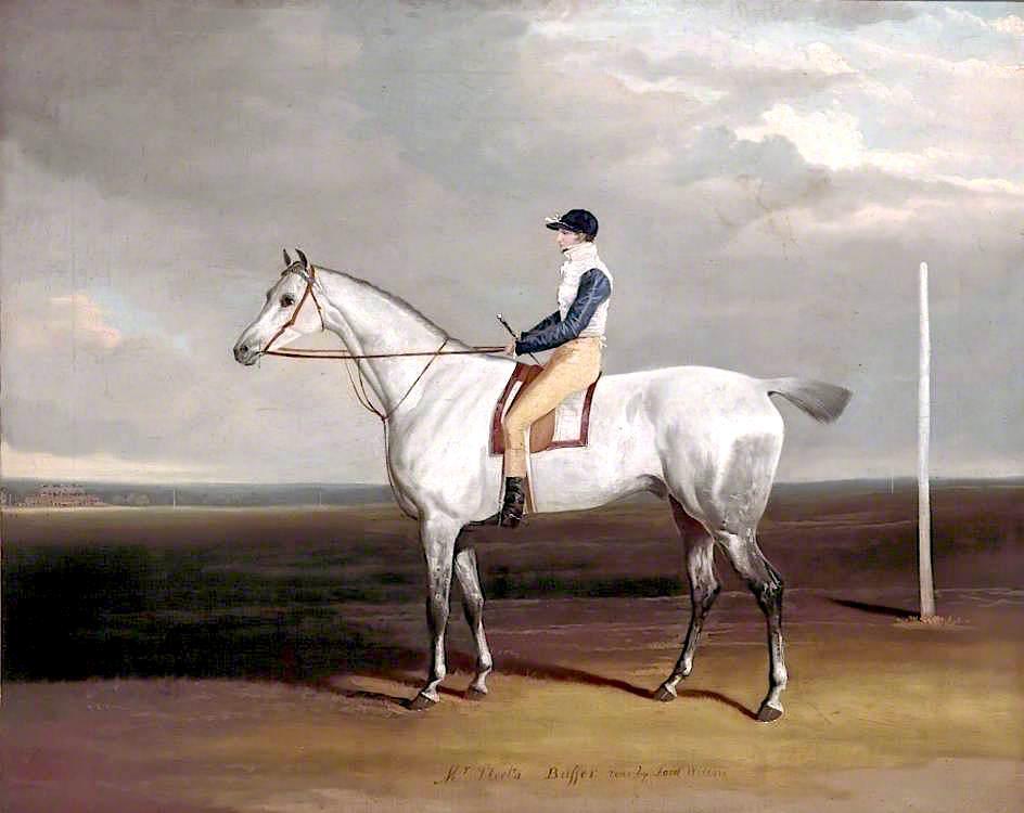 Mr Steel's 'buffer' Rode By Lord Wilton — David Of York Dalby