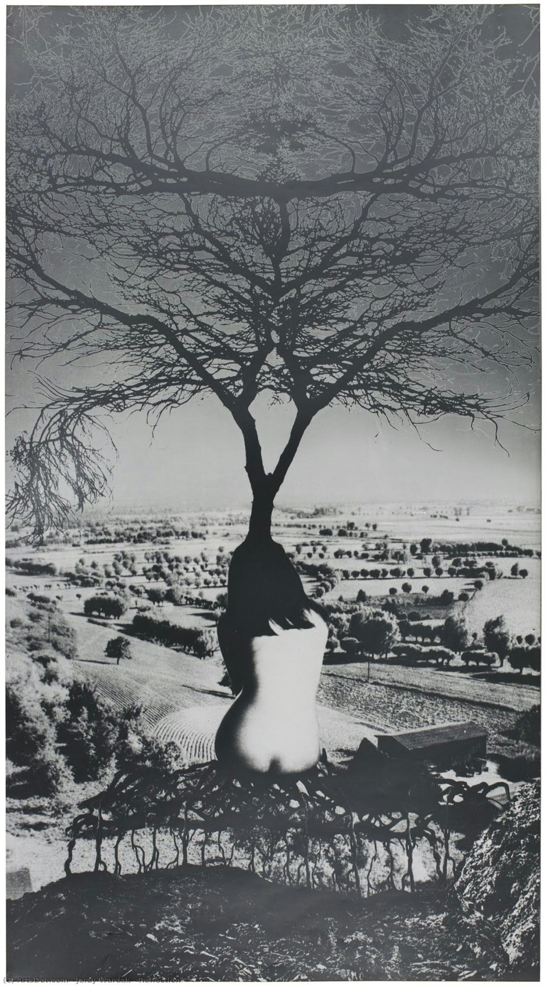 Reflection — Jerzy Wardak