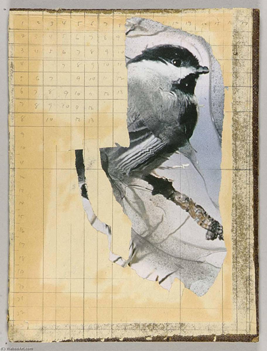 Mathematics And Music (chickadee On Tree Branch) — Joseph Cornell