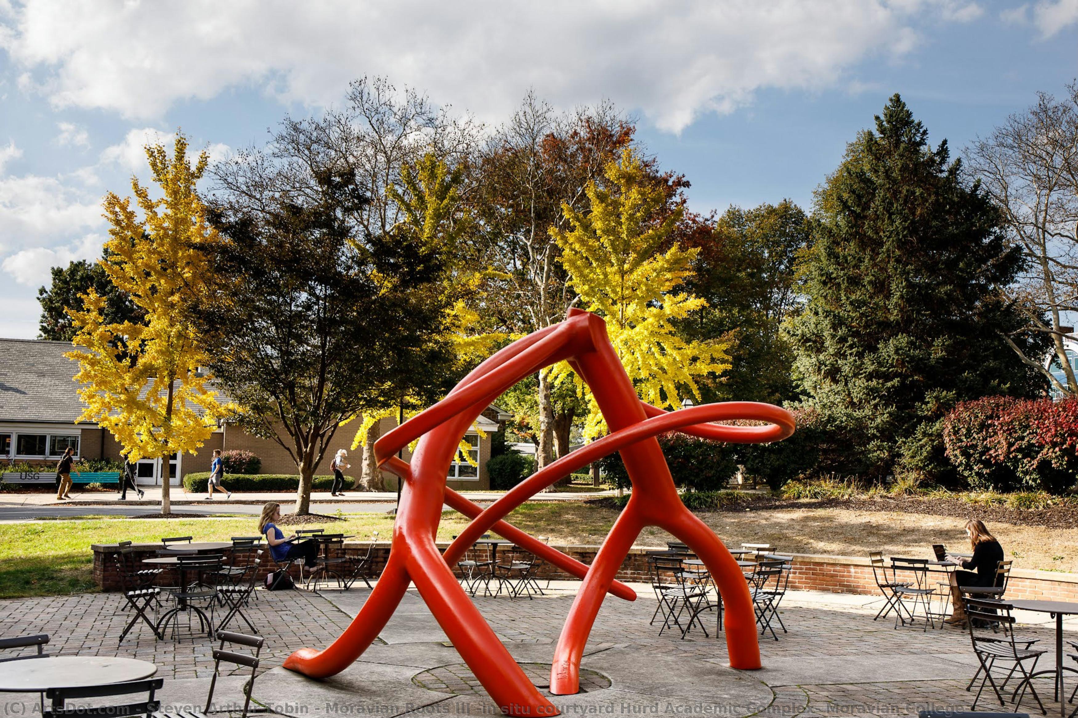 Moravian Roots Iii (in Situ Courtyard Hurd Academic Complex, Moravian College) — Steven Arthur Tobin