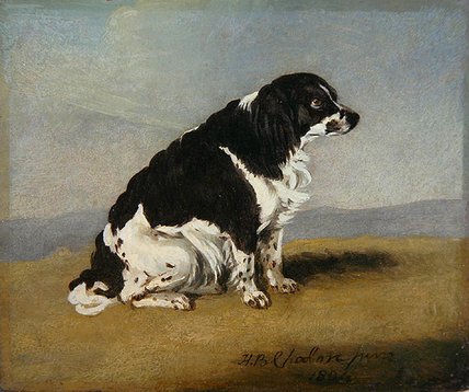 The Duchess Of York's Spaniel, — Henry Bernard Chalon