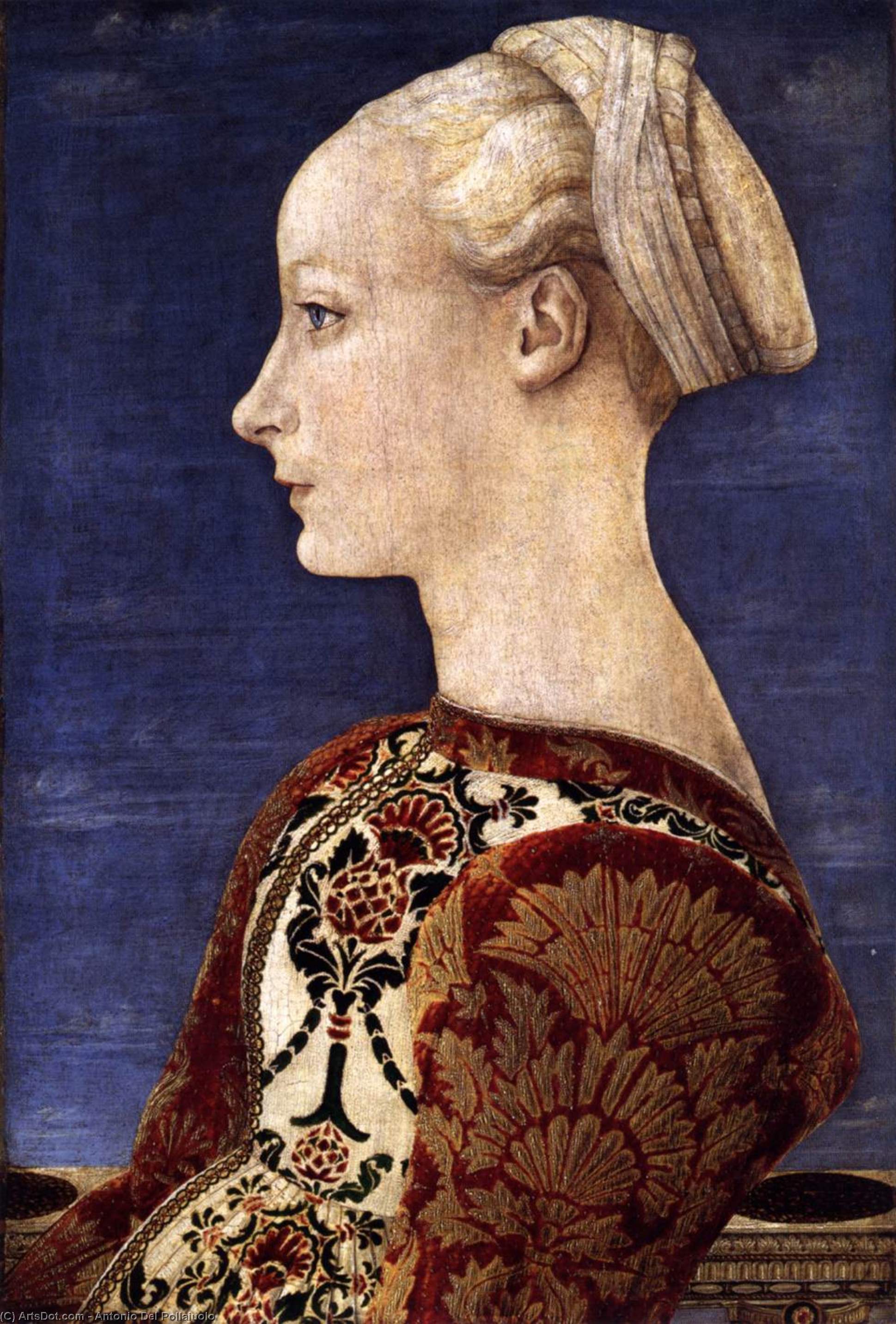 Retrato De Una Joven — Antonio Del Pollaiuolo