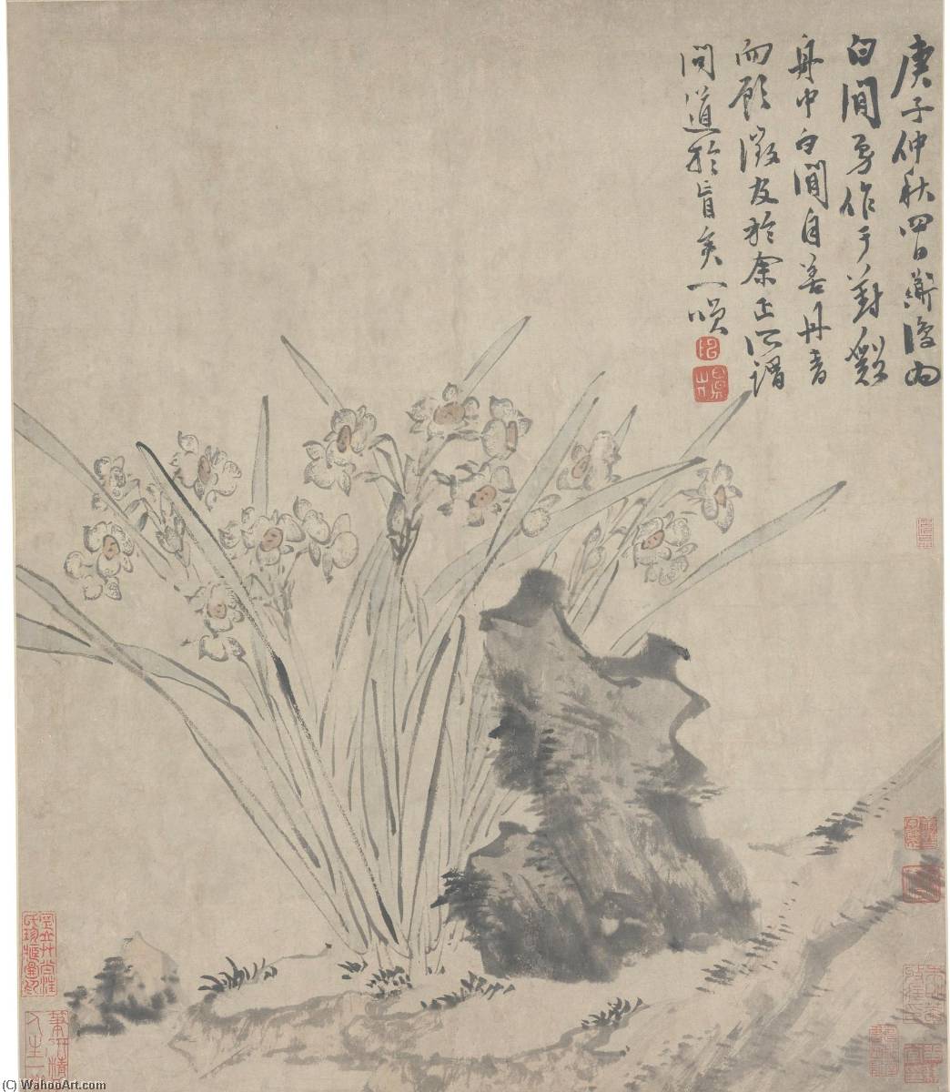 Narcissus — Chen Chun