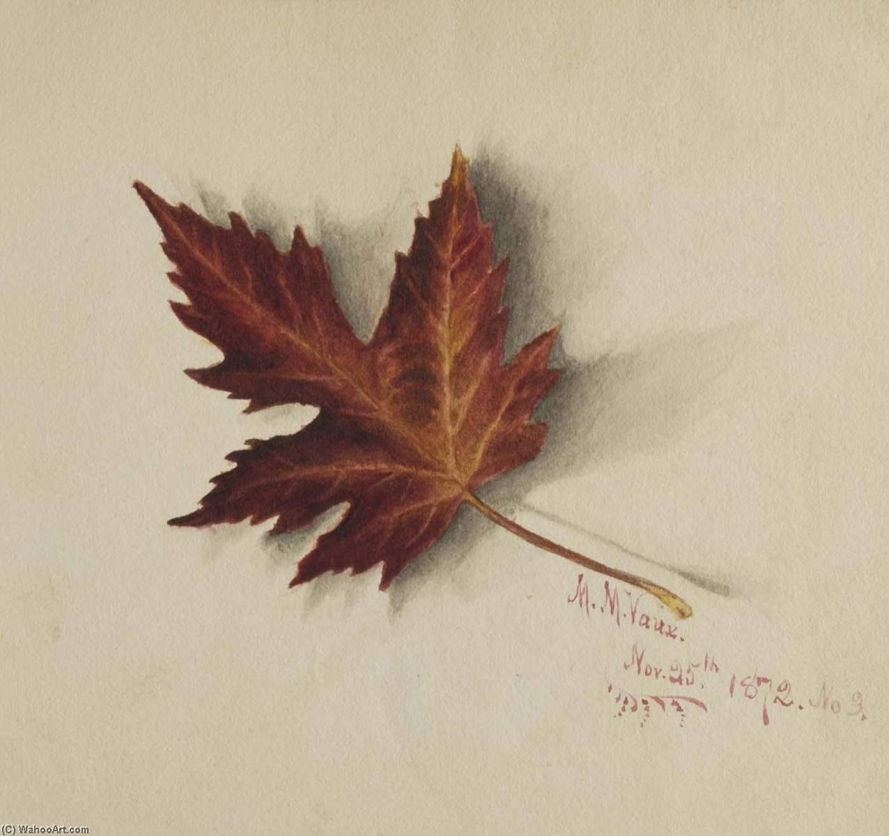 Untitled (autumn Leaf) — Mary Vaux Walcott