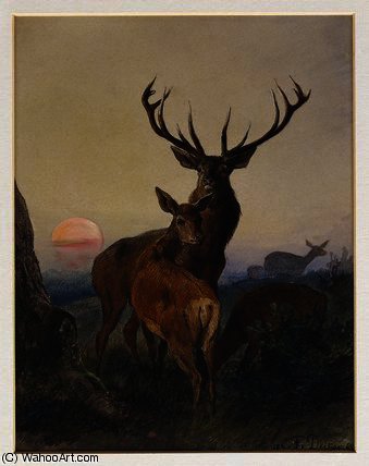 A Stag With Deer In A Wooded Landscape At Sunset — Charles Jones