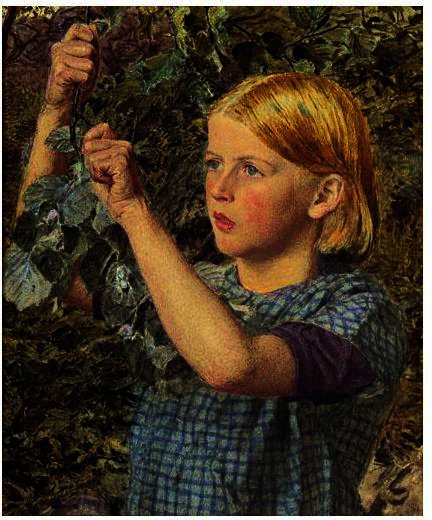 Girl Gathering Nuts — Альберт Джозеф Мёрр
