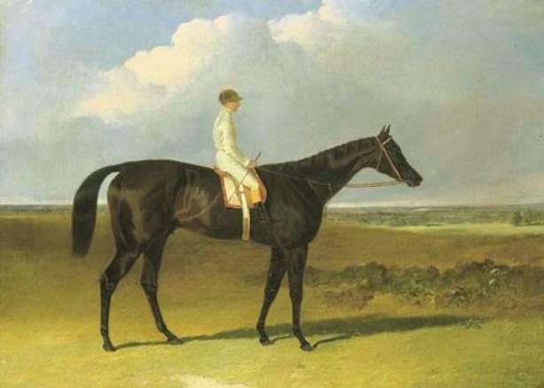 Mr O'brien's Jonathan Wild, With Jockey Up — John Frederick Herring Senior