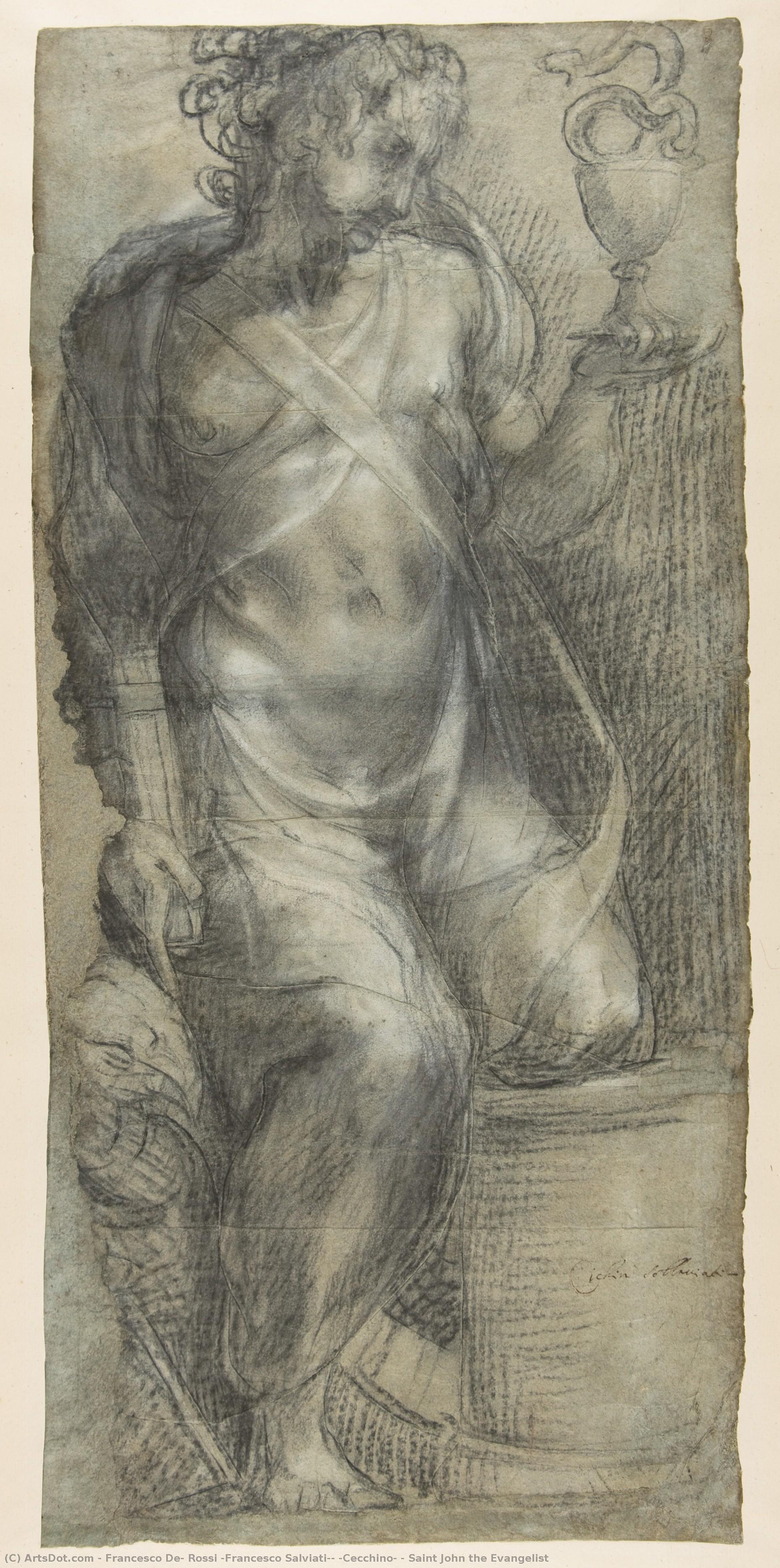 Saint John The Evangelist — Francesco De Rossi (francesco Salviati) (cecchino)