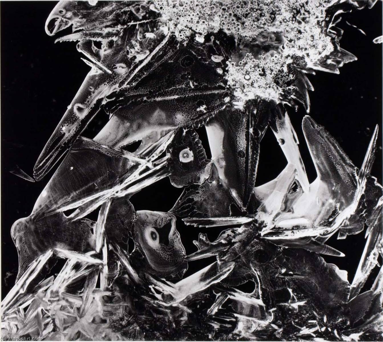 Untitled (ice Crystal) — Бретт Уэстон
