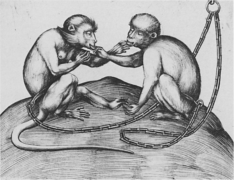 Two Monkeys — Israhel Van Meckenem Der Jüngere