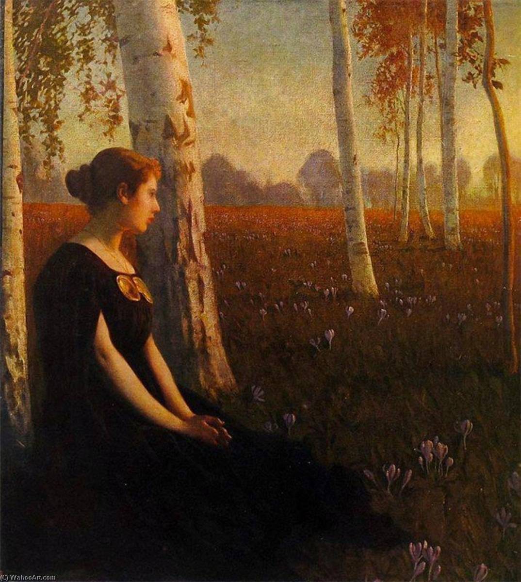 Last Rays Of The Sun — Paul Hoecker