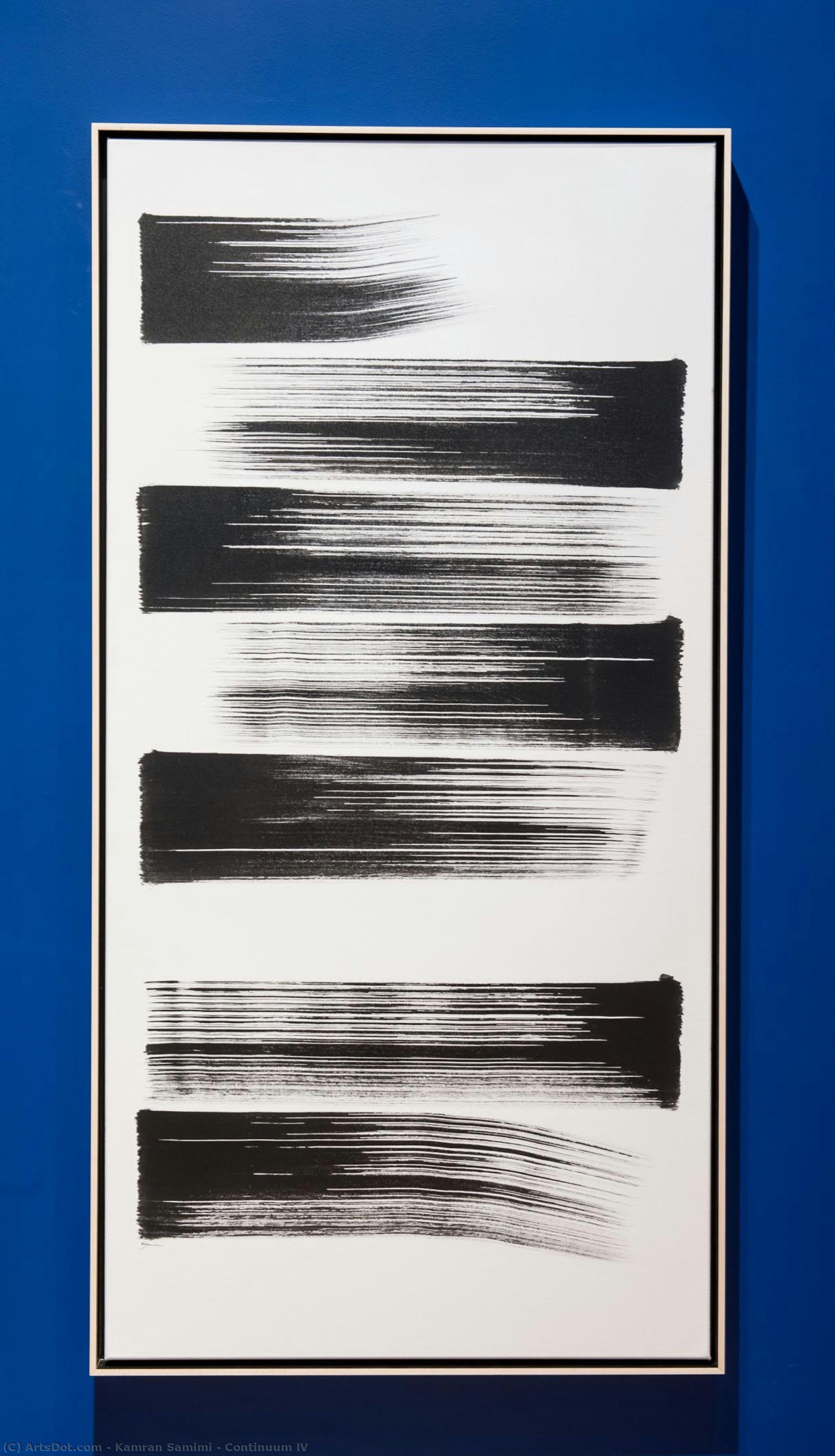 Continuum Iv — Kamran Samimi