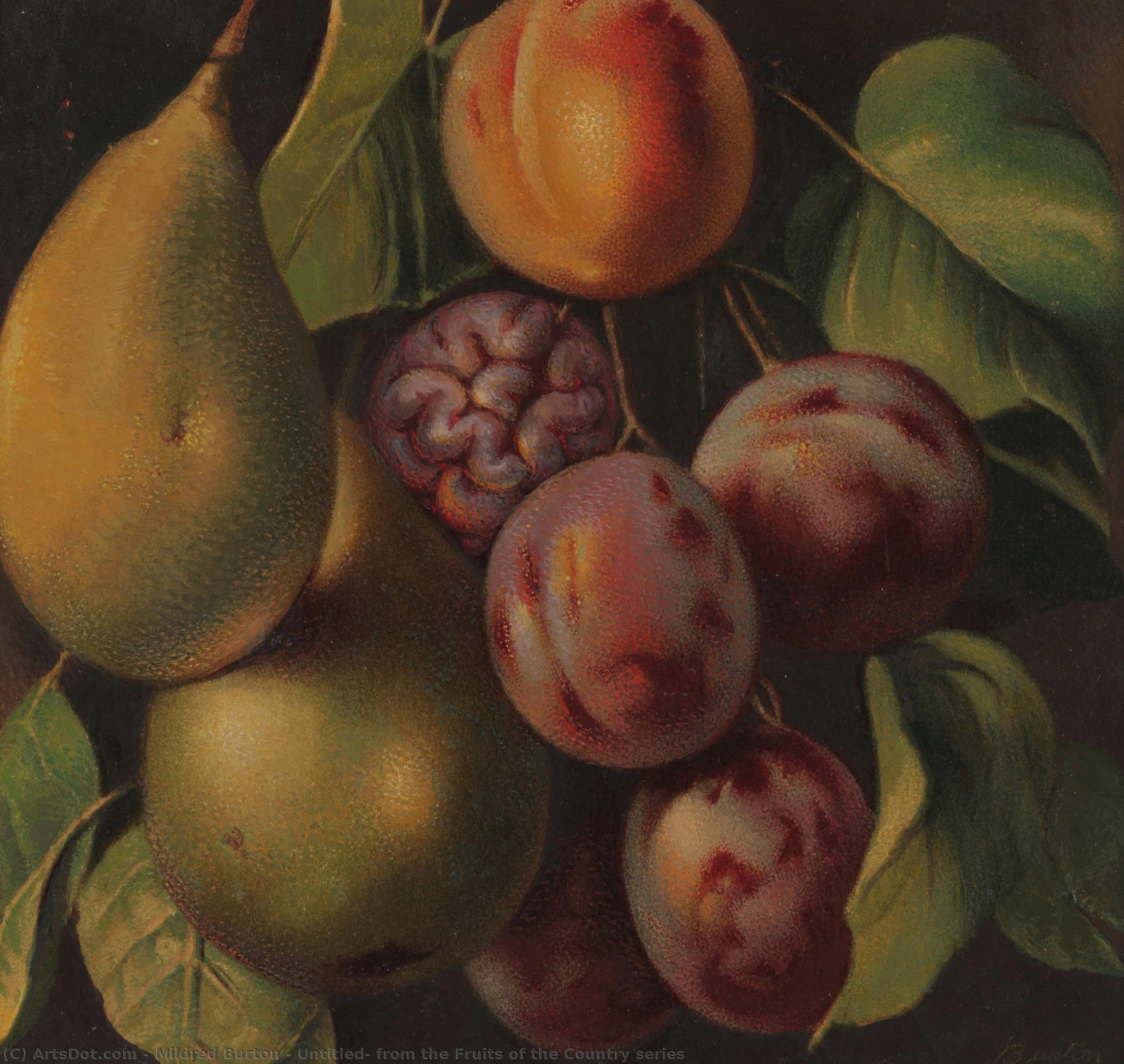 Untitled, From The Fruits Of The Country Series — Mildred Burton