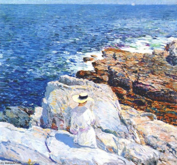 South Ledges, Appledore — Гассам