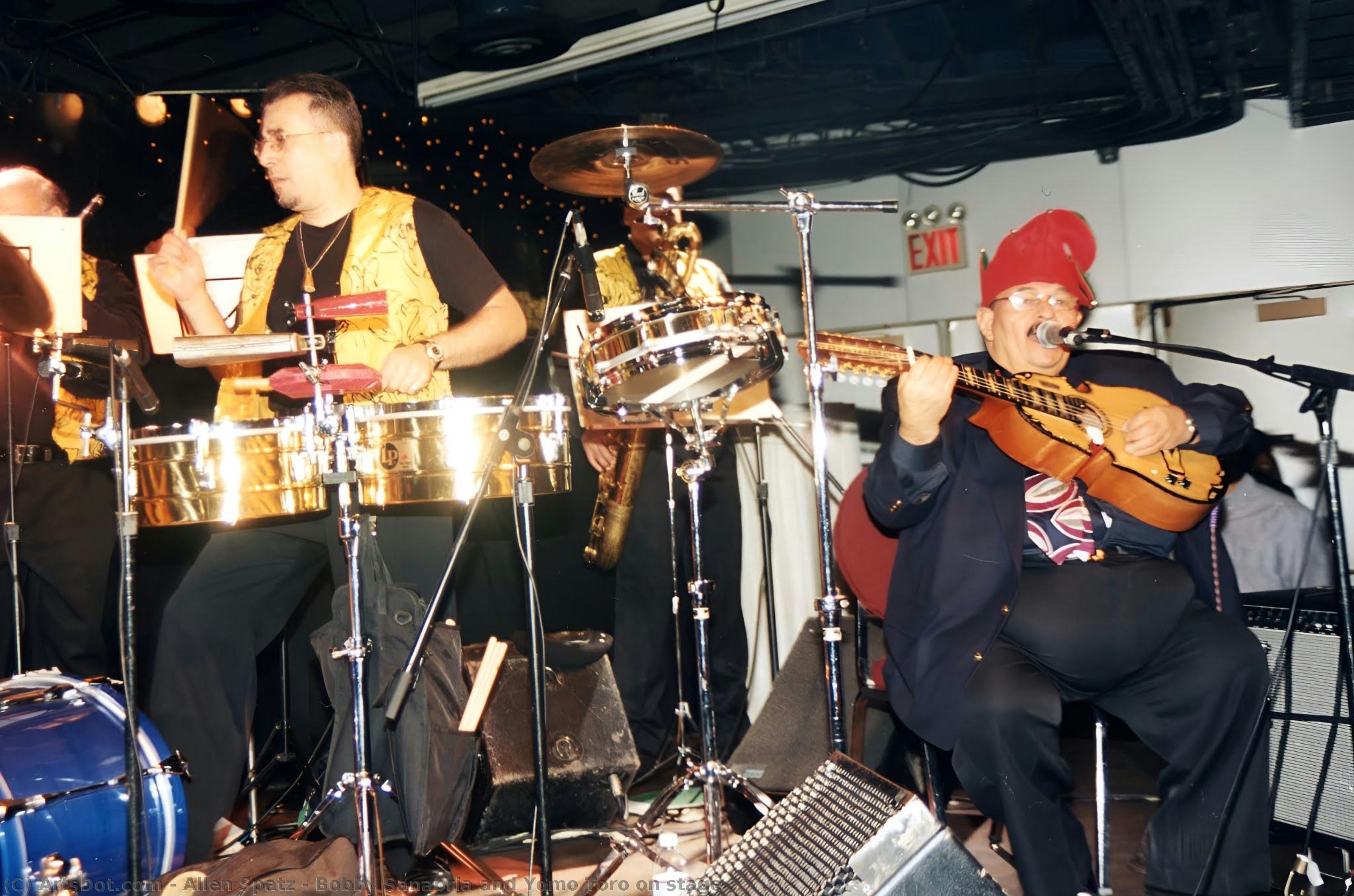 Bobby Sanabria And Yomo Toro On Stage — Allen Spatz