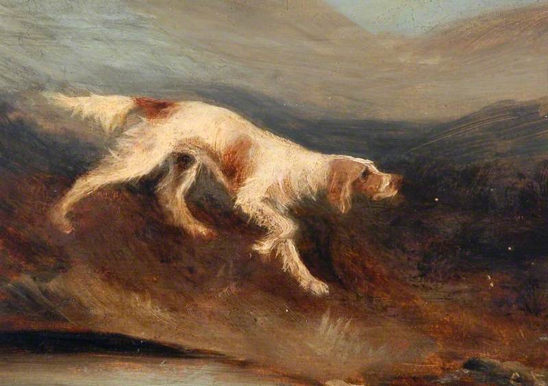 English Setter — George Algernon Fothergill