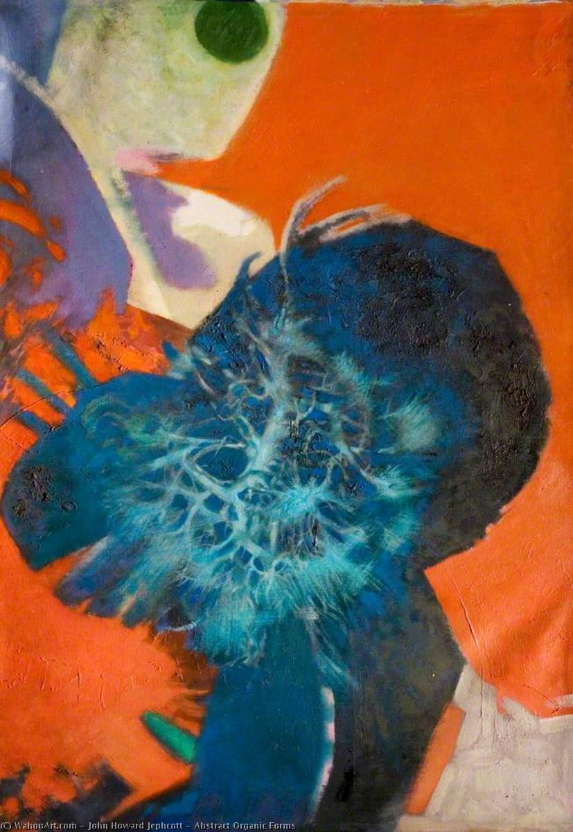 Abstract Organic Forms — John Howard Jephcott