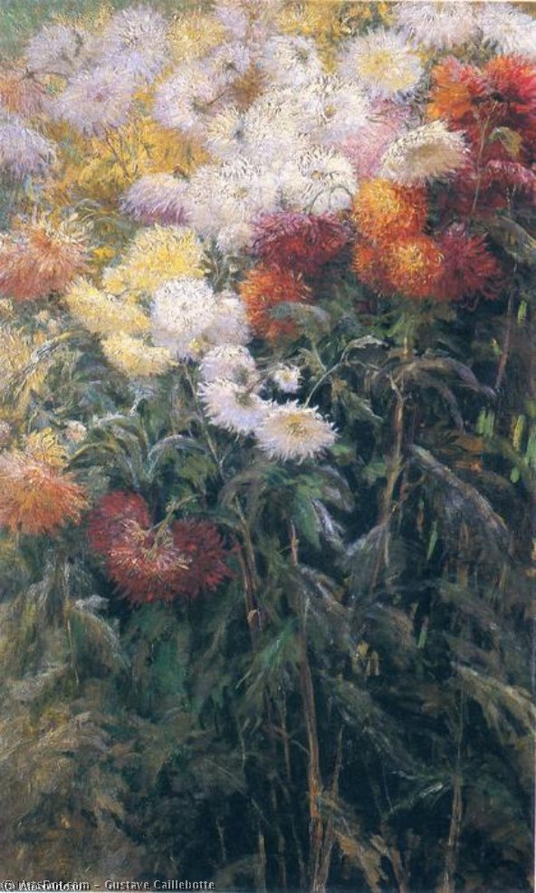 Clump Of Chrysanthemums, Garden At Petit Gennevilliers — Gustave Caillebotte