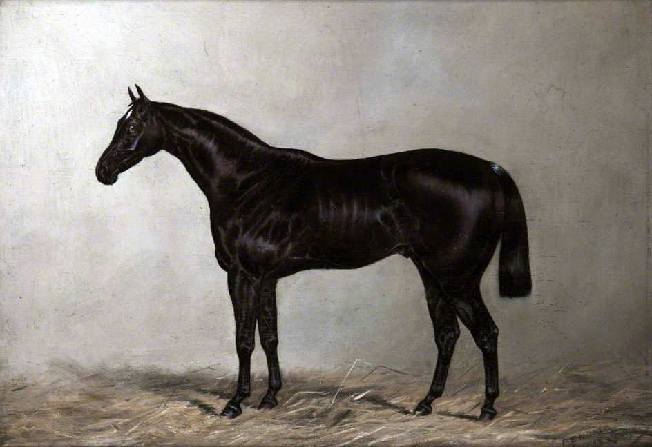 'bendigo' — Henry Frederick Lucas Lucas