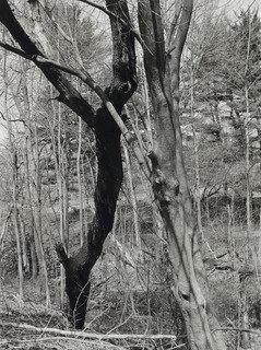 Long Island — Thomas Roma