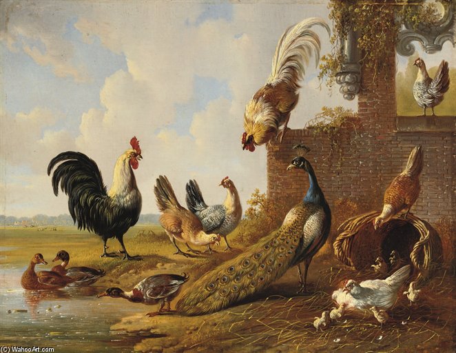 Poultry Near A Ruin — Albertus Verhoesen
